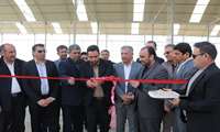 افتتاح ۱۳۴ طرح کشاورزی در دهه مبارک فجر در جنوب استان کرمان