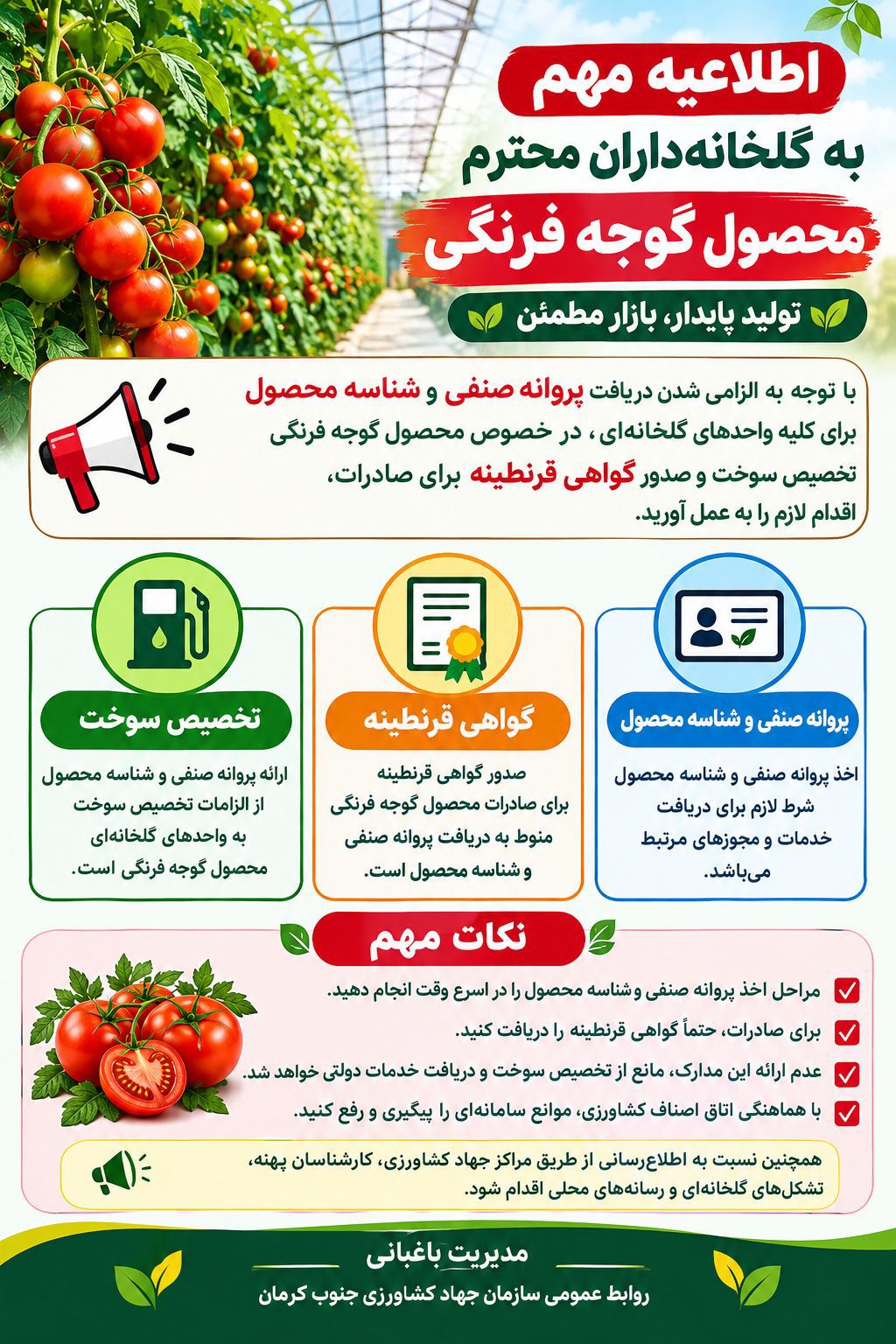 قابل توجه گلخانه‌داران محصول گوجه فرنگی